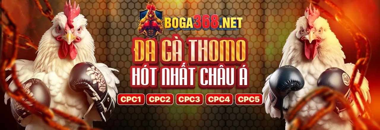 Khuyến Mãi Daga 88 độc quyền